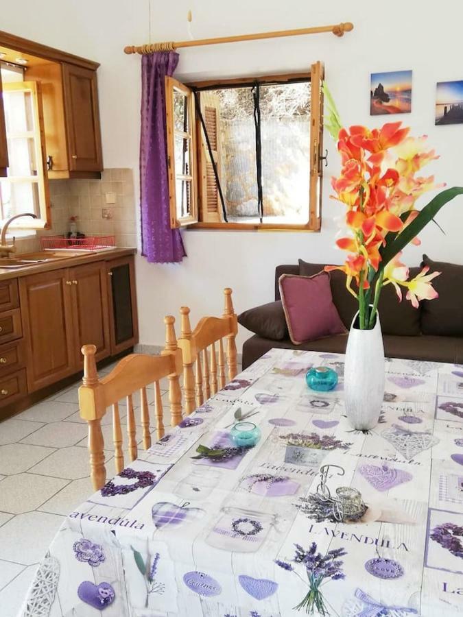 Theasea House With Garden Appartamento Riglia Esterno foto